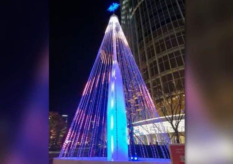 Christmas-tree-lighting Christmas-tree-lighting