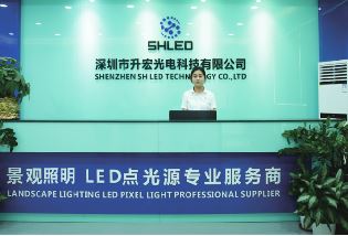 Pixel LED Point.jpg