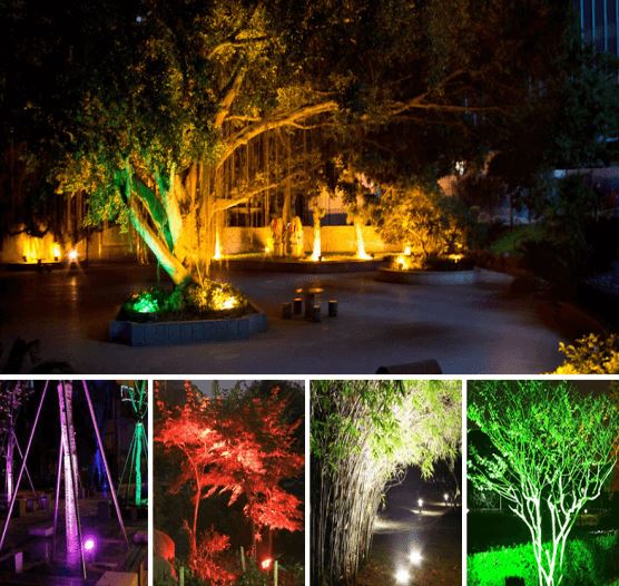 led flood light