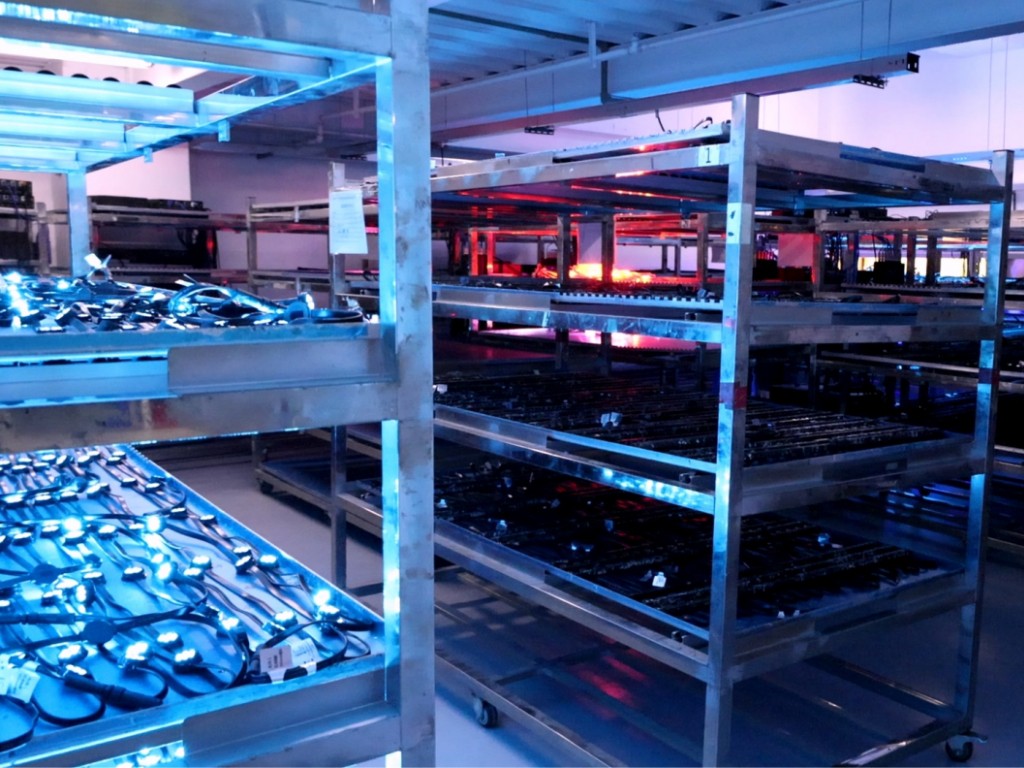 aging room aging room