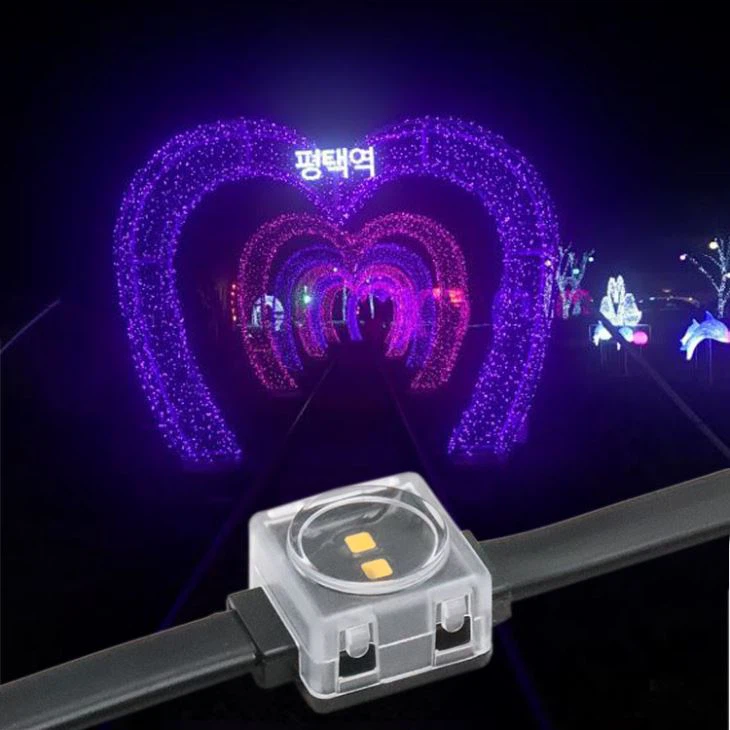 Park Lighting WS2801 LED Pixel