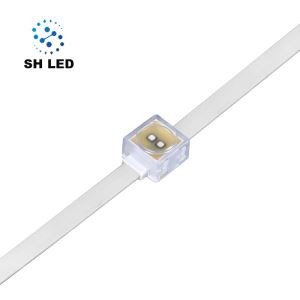 Park Lighting Smart LED Pixel