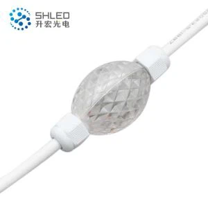 Tourist Attractions Lighting DVI 3D Pixel LED Ball